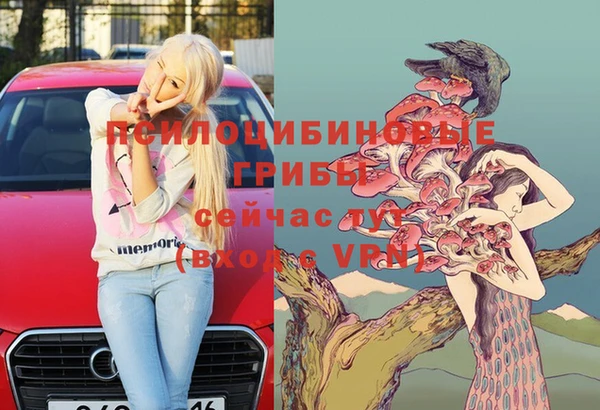 mdpv Верхний Тагил